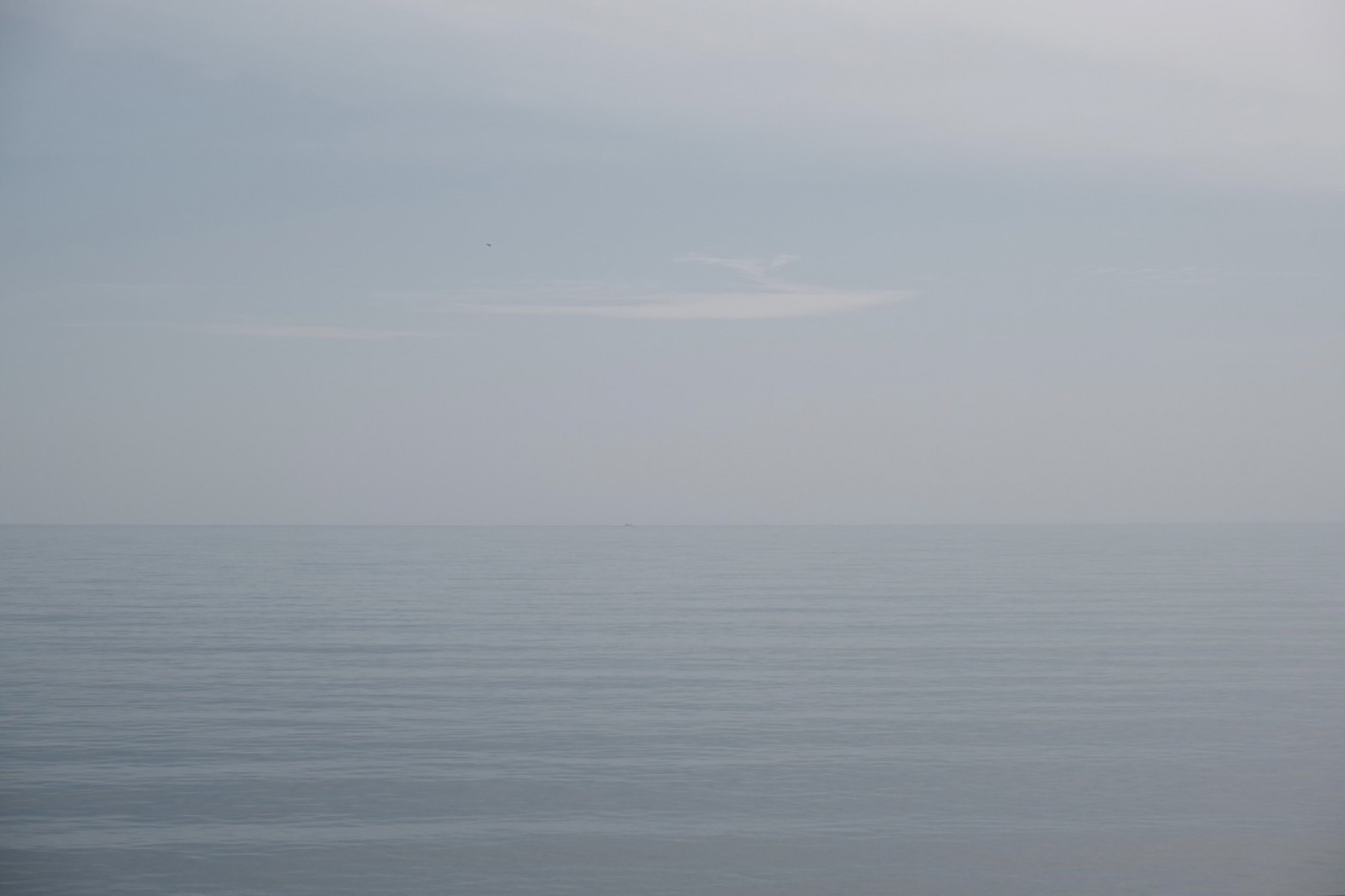 こちらと、あちらの風　藤原櫻和子個展「風の流るるかたわらに」開催